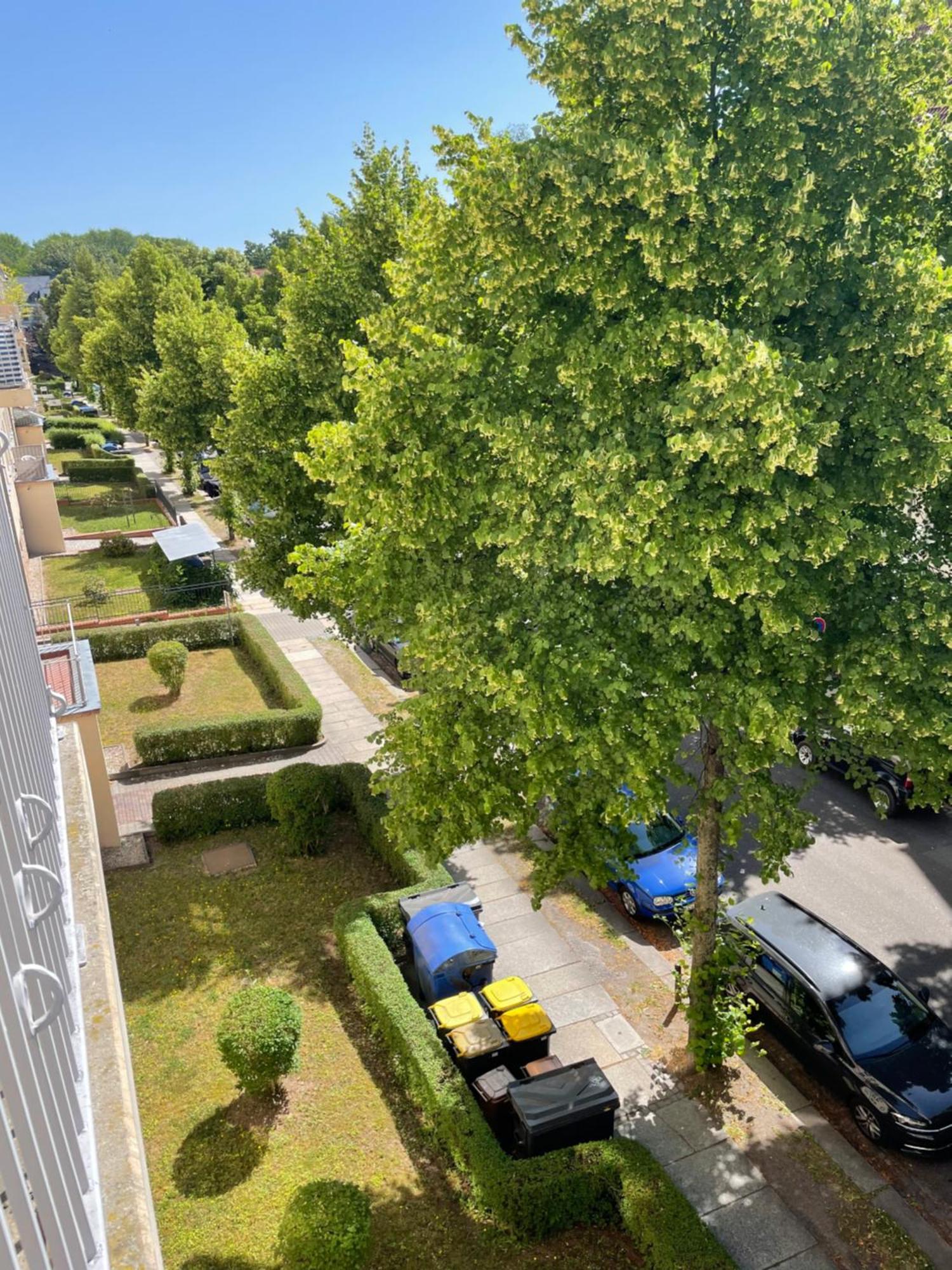 Ruhige Maisonettewohnung Auf Dem Kassberg Chemnitz  Exteriér fotografie
